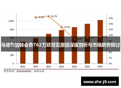 马德鲁加转会费762万欧背后原因深度剖析与市场趋势探讨 马德鲁加转会费762万欧背后原因深度剖析与市场趋势探讨